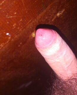 Саня — фото 1