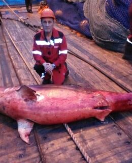 Александр — фото 2