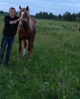 Юрий Трифанов — фото 10